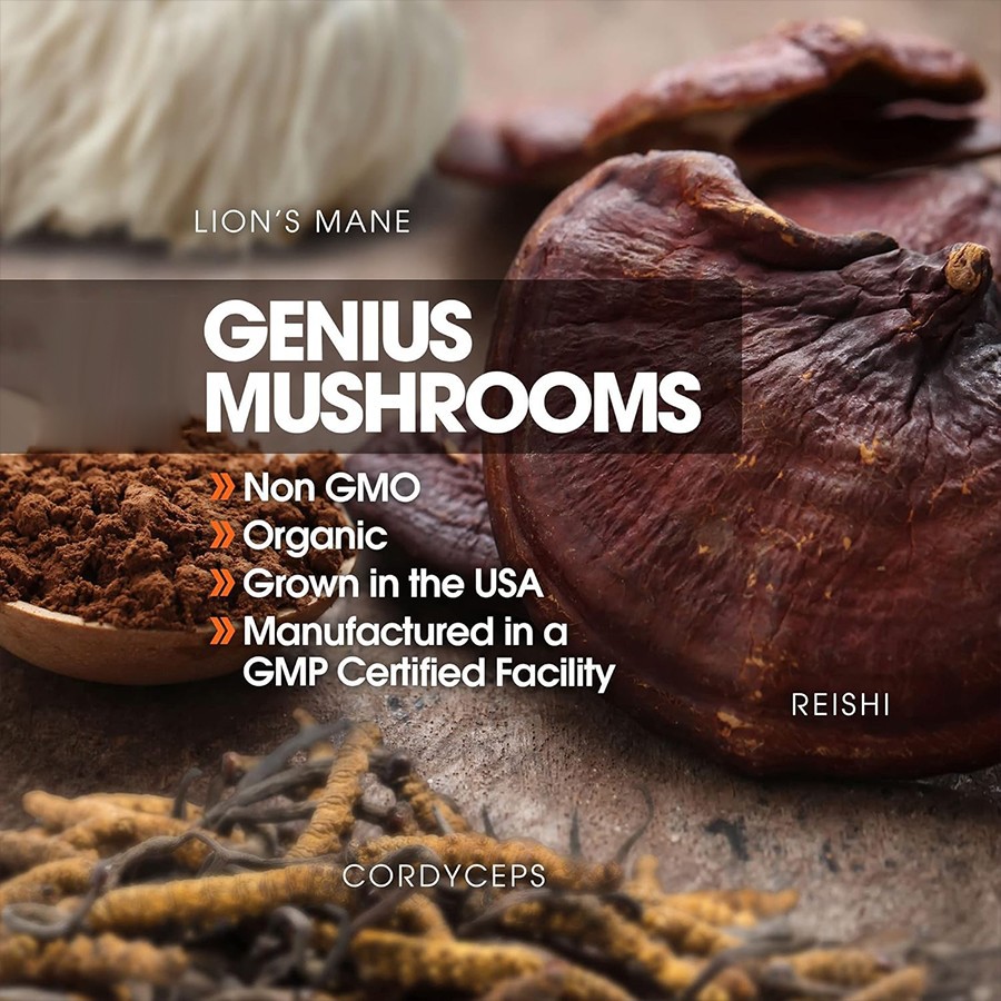 Genius Mushrooms factory Genius Mushrooms factory